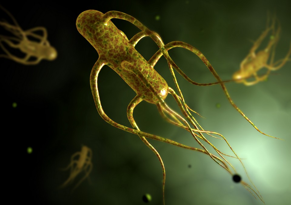 10 most dangerous bacteria