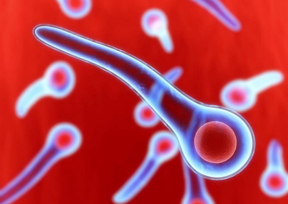 10 most dangerous bacteria