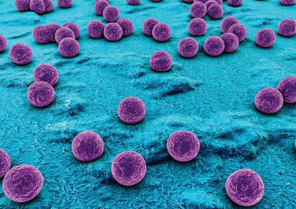 10 most dangerous bacteria