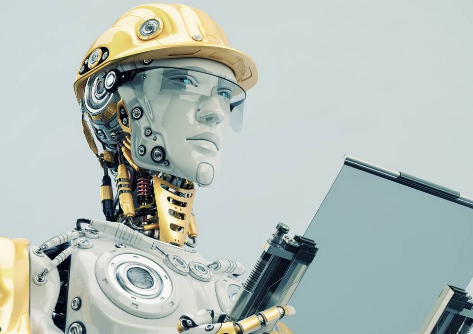Robots in human society